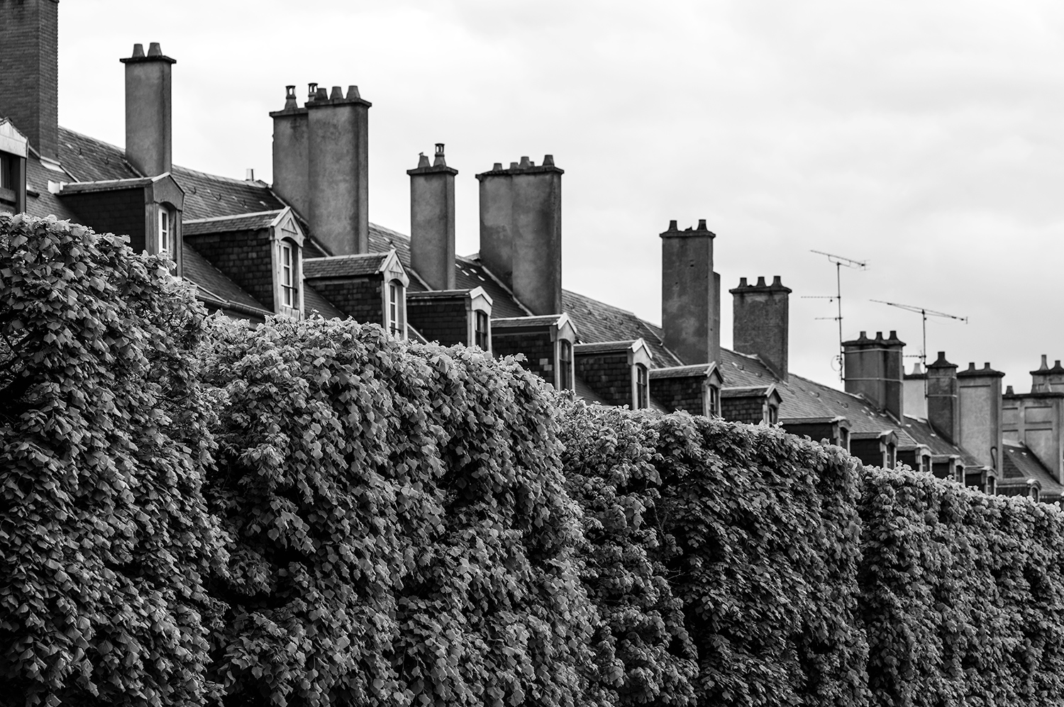 Nancy Street Detail