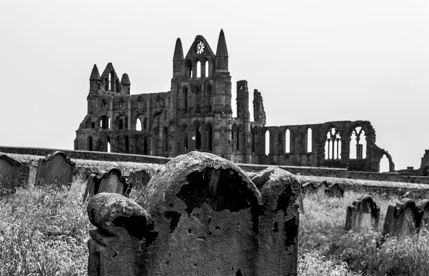 Whitby Abbey